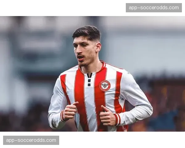 社区的力量：如何解释布伦特福德主场不败的强势纪录